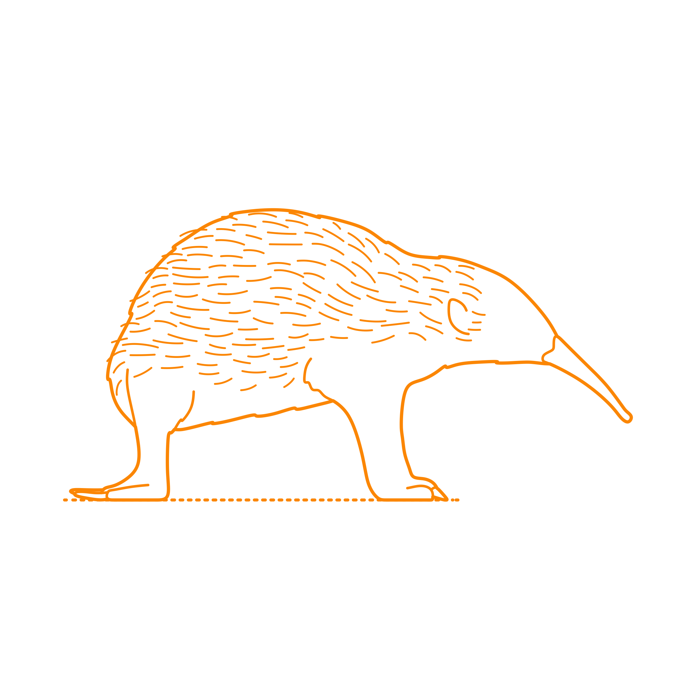 Animals Monotremes Sir Davids Long Beaked Echidna Sketch Svg Vector Free Vectors